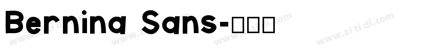 Bernina Sans字体转换
